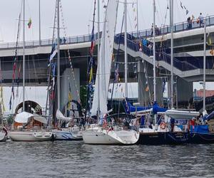 The Tall Ships Races 2024 w Szczecinie