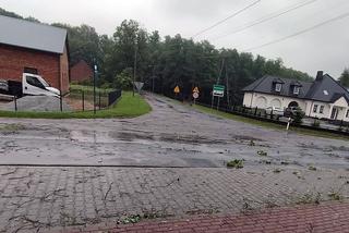Skutki burz na Śląsku. Wiatr połamał drzewa, woda zalała domy