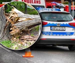 Konar drzewa przygniótł troje małych dzieci. Trwa akcja strażaków 