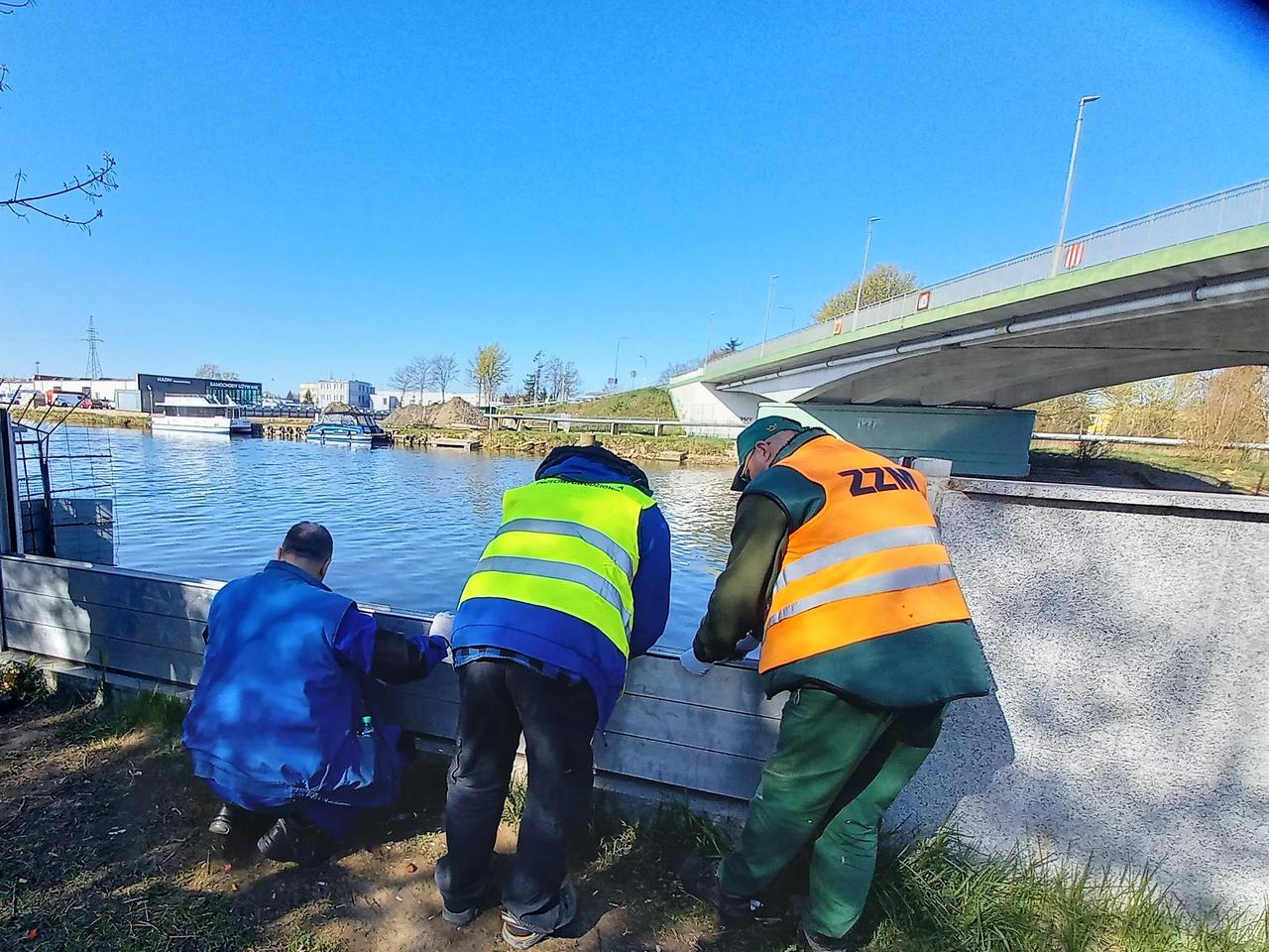 Są gotowi. Ćwiczenia elbląskiej Formacji Obrony Cywilnej 