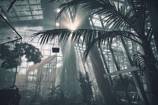 Nowe Egzotarium w Sosnowcu