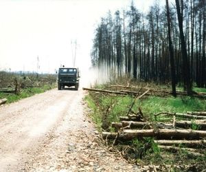 Pożar lasu w Kuźni Raciborskiej w 1992 roku