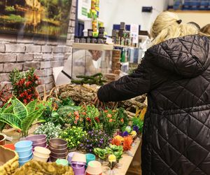 Targi terrarystyczne oraz giełda minerałów, biżuterii i skamieniałości w Sosnowcu