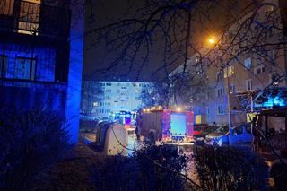 Fałszywy wolontariusz zabił i spalił panią Basię