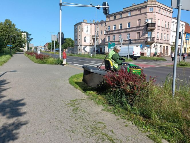Trawniki w Lesznie wybujały. Koszą prawie codziennie [ZDJĘCIA]