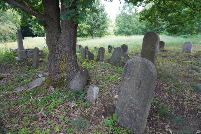 Zabytkowy cmentarz żydowski z XIX wieku w Białymstoku. Ostatnia taka ocalała nekropolia w mieście