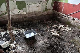 Egzotyczne zwierzęta w Gdańsku 