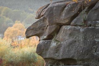 Rezerwat, który wygląda jak z książek fantasy