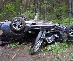 Samochód zderzył się z łosiem. Dwie osoby zginęły na miejscu