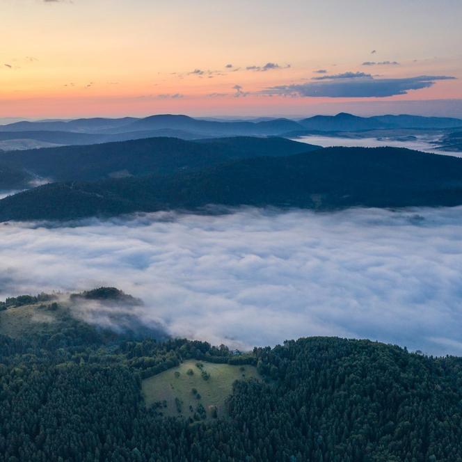 Ogromna inwestycja na jednym z najpopularniejszych stoków w Małopolsce. Jaworzyna Krynicka zmieni się nie do poznania