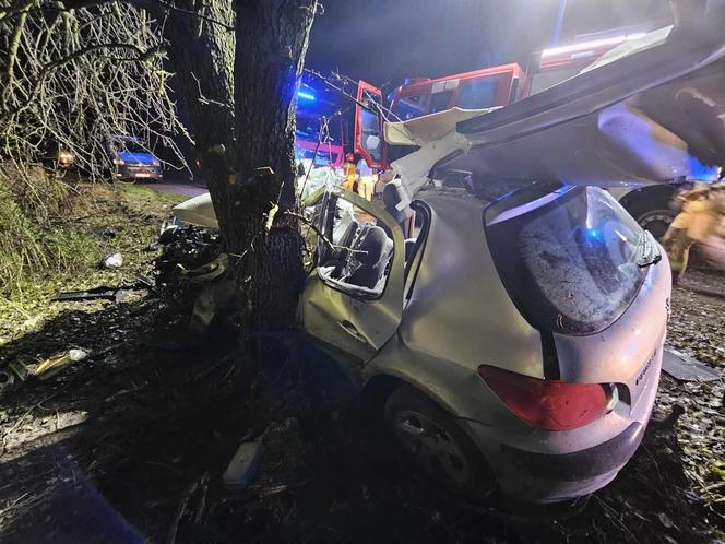 Świętokrzyskie: 16-latek zabrał rodzicom kluczyki od auta. Podróż zakończył na drzewie