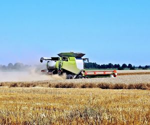 Niskie ceny zmuszają do przechowywania zboża