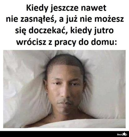Memy o pracy