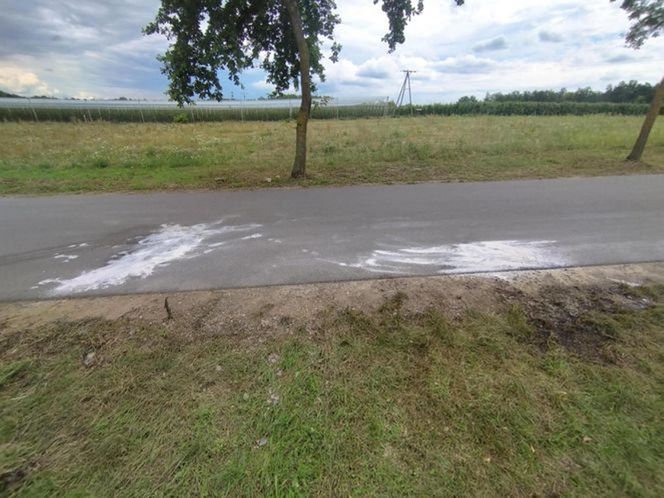 Zabójstwo pod Grójcem