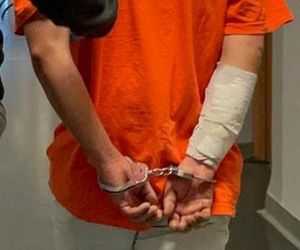 28-latek odkręcił gaz i zabił dwa psy. Jego była partnerka ledwo uszła z życiem!