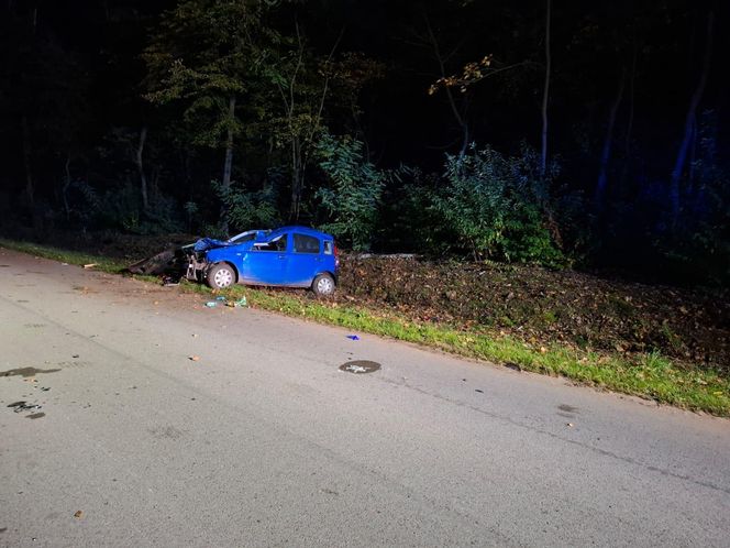 Wypadek w Podebłociu. Auto zderzyło się z łosiem