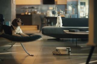 Robot sprzątający Jet Bot AI+ Samsung