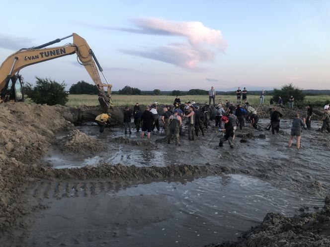 Poszukiwacze bursztynu w Rewie. Jak wyglądają poszukiwania złota Bałtyku? 