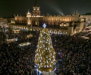 Najpiękniejsza choinka na świecie znajduje się w Polsce! Gdzie ją zobaczyć? 