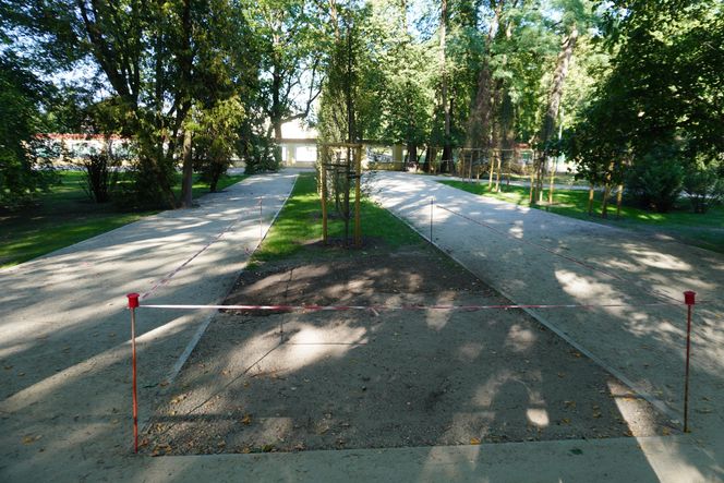 Rewitalizacja Parku Planty w Białymstoku latem 2025