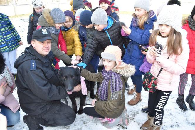 Po latach służby Brutus przeszedł na zasłużoną emeryturę