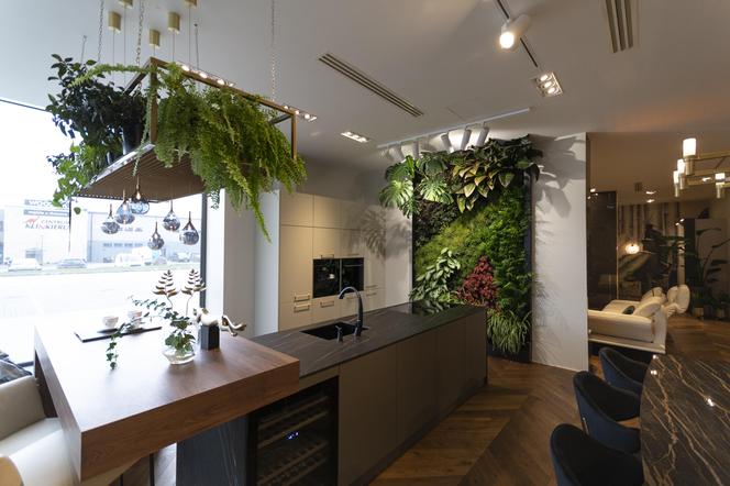 Zielona ściana z żywych roślin w kuchni