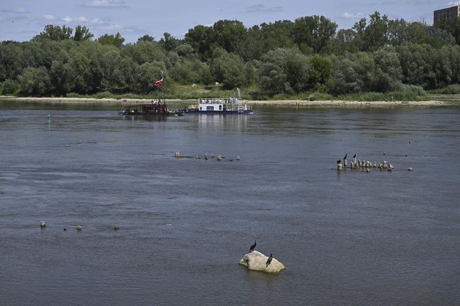 Alarm! Wisła wysycha na naszych oczach. Katastrofalny poziom wody w Warszawie