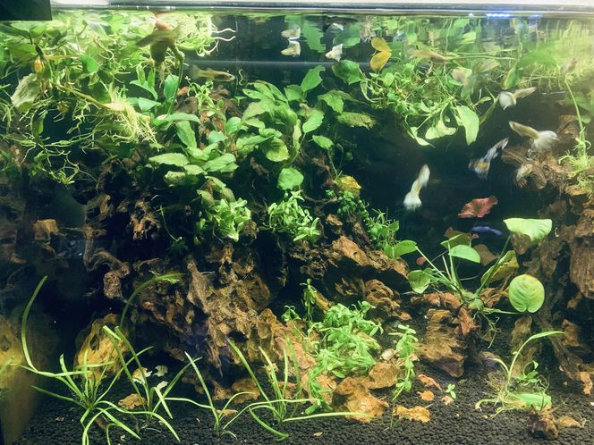 Rozmawiamy z Tomaszem Wiśniewskim, założycielem Aqua Dreams Bydgoszcz