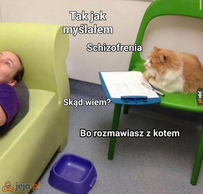 Dzień Kota 2020