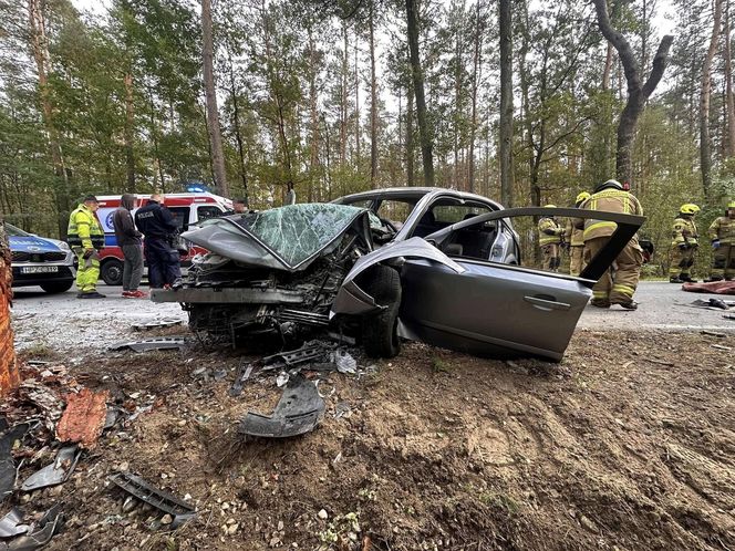Kierowca uderzył oplem w drzewo, nie przeżył. Policja szuka sprawcy