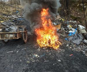 Mieszkańcy zaczynają palić śmieci. W poniedziałek ruszają kontrole