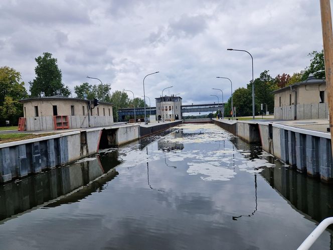 Złota alga zaatakowała Kanał Gliwicki we wrześniu 2025 roku