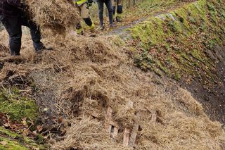 Klępa wpadła do basenu. Niecodzienna akcja ratunkowa w Wilczym Szańcu