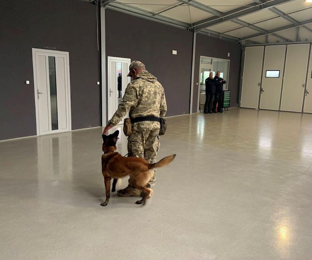  Psi saperzy znowu jadą na Ukrainę. Będą pomagać żołnierzom na froncie