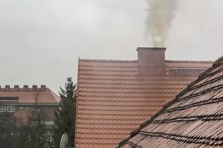 Zakaz palenia węglem w Warszawie. Ratusz zapowiada kontrole i kary 