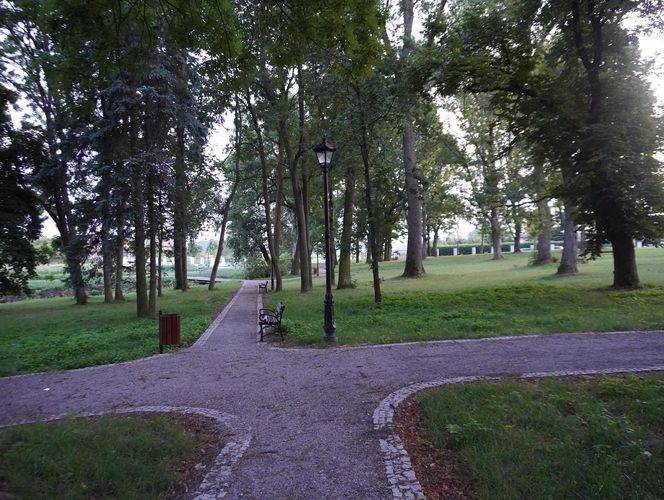 Park w gminie Mełgiew