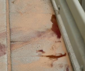 Warszawa sparaliżowana! Karambol po potrąceniu dzika. Kosmiczny korek aż do Marsa