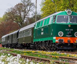 Zabytkowym pociągiem w Góry Sowie. Zobacz przepiękne zdjęcia i nagranie z wydarzenia