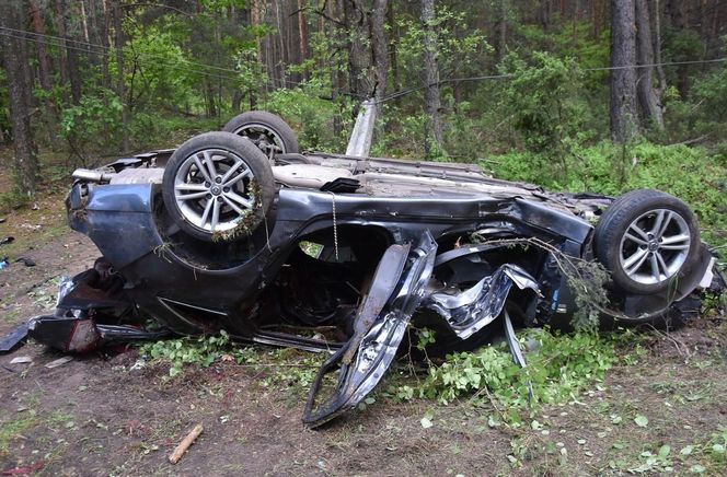 Samochód zderzył się z łosiem. Dwie osoby zginęły na miejscu 