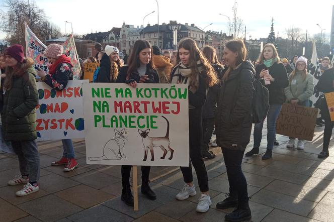 Wielki protest w Krakowie. Strajkowali w obronie klimatu 