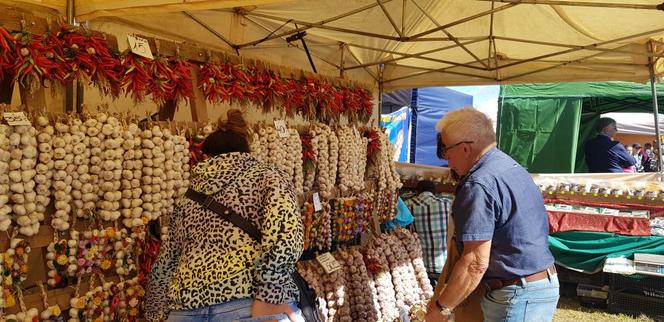 28. Jesienne Targi Rolnicze w Gryźlinach