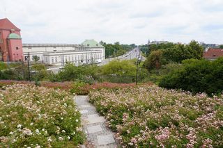 Ukryty ogród w Warszawie