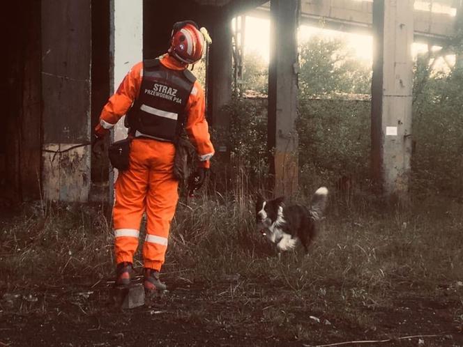 Przy kopalni Mysłowice ZAWALIŁ SIĘ budynek! Rannych szukali Robroy i Piorun