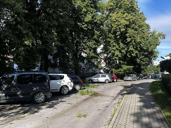 Burze w Świętokrzyskiem - 23-24 czerwca 2025