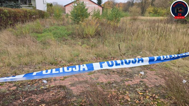 Zabójstwo w Kampinosie