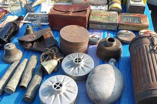 Wiosenne targi staroci w Rzeszowie [GALERIA]