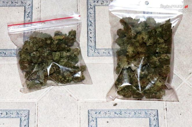 Śląskie: Marihuana jak konfitury. Policjanci nie dali się nabrać. 36-latek ma kłopoty