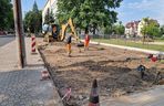 Budowa ścieżki rowerowej wzdłuż Alei Konstytucji 3 Maja