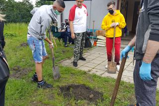 Projekt Akademia Ogrodnika w Sosnowcu 