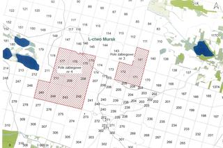 Zakaz wstępu do lasu w Kujawsko-Pomorskiem! Mapa z zamkniętymi terenami